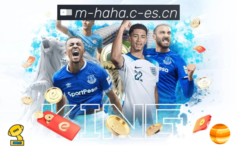 网络自检 网络自检 - 延迟检测与线路推荐